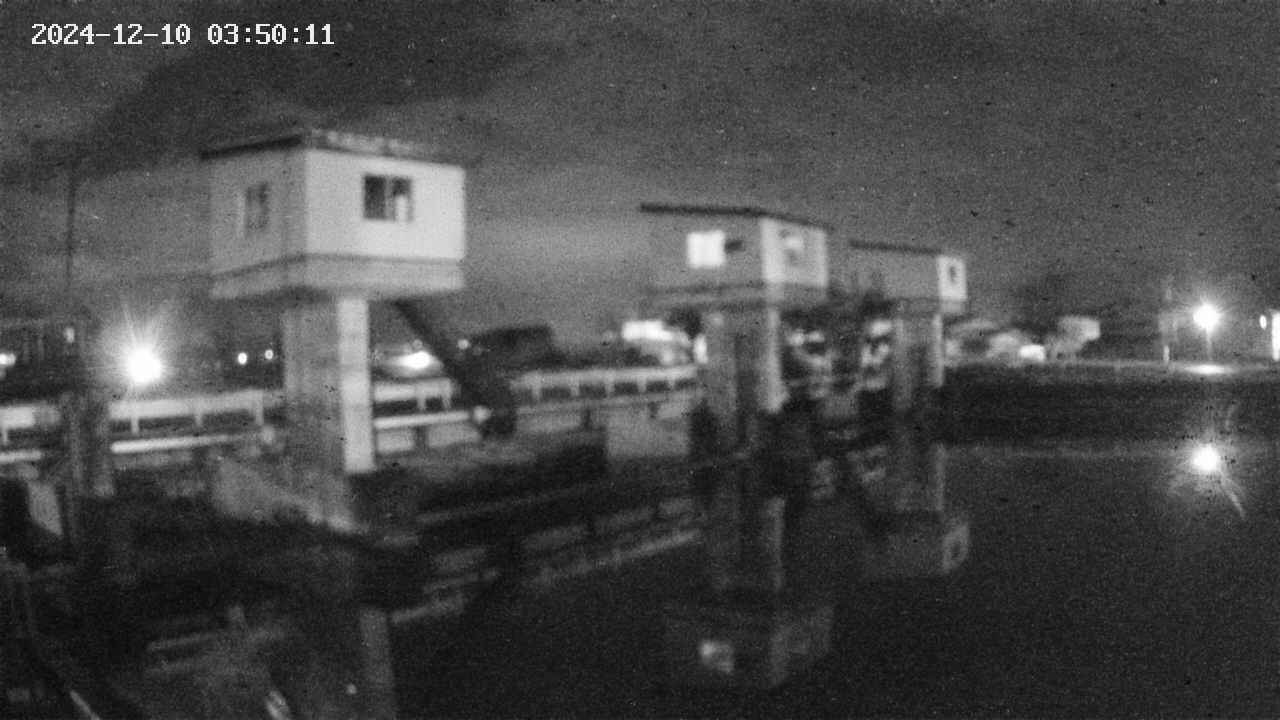 area1-20241210035012.jpg