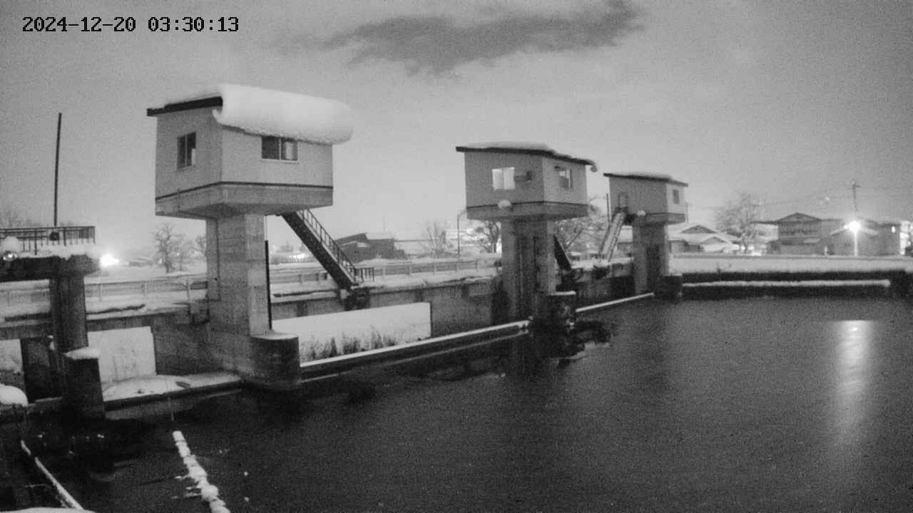 area1-20241220033013.jpg