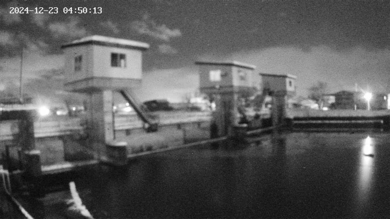 area1-20241223045013.jpg