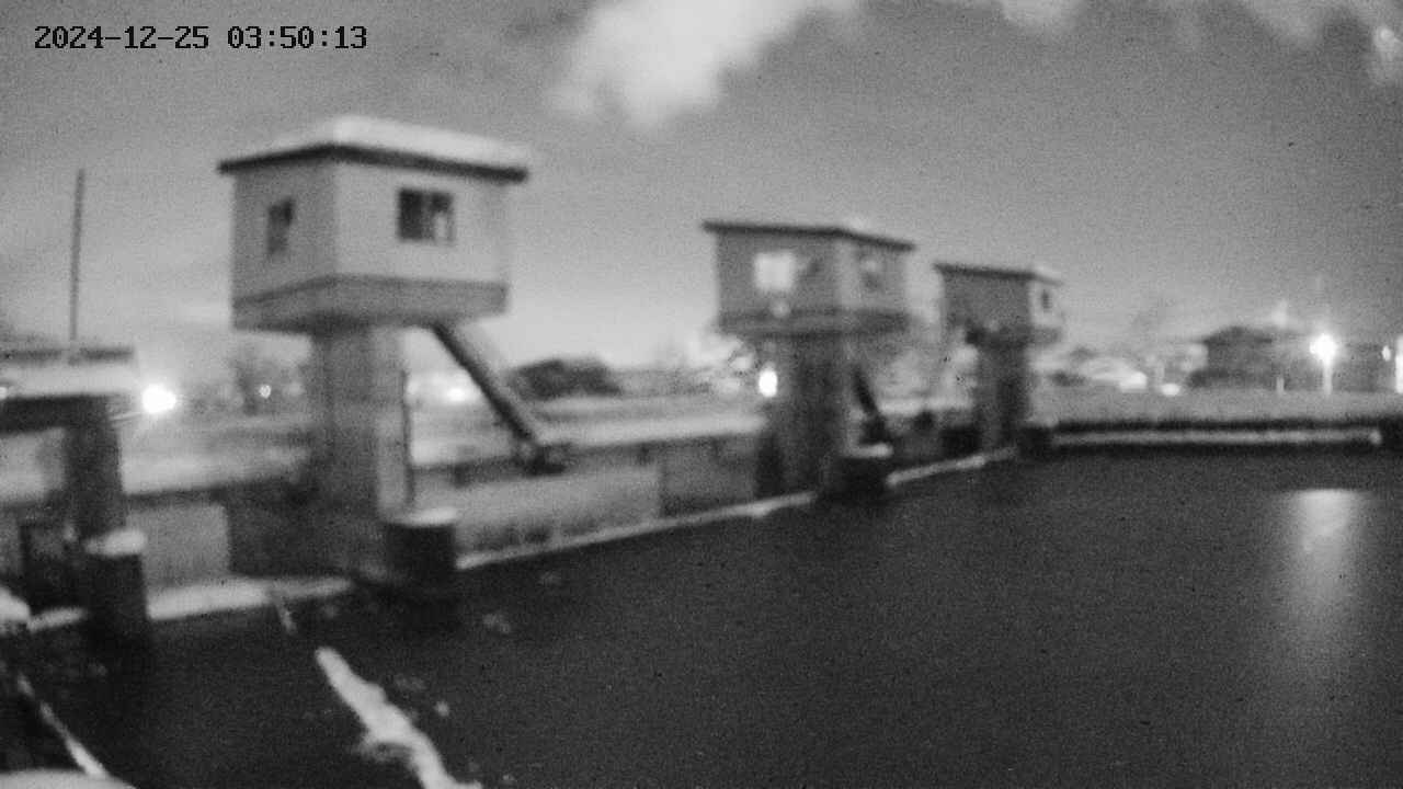 area1-20241225035014.jpg