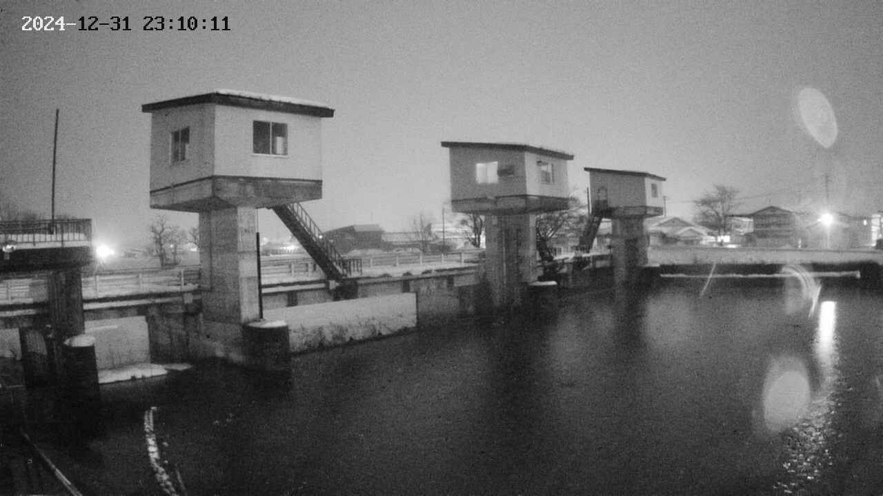 area1-20241231231012.jpg