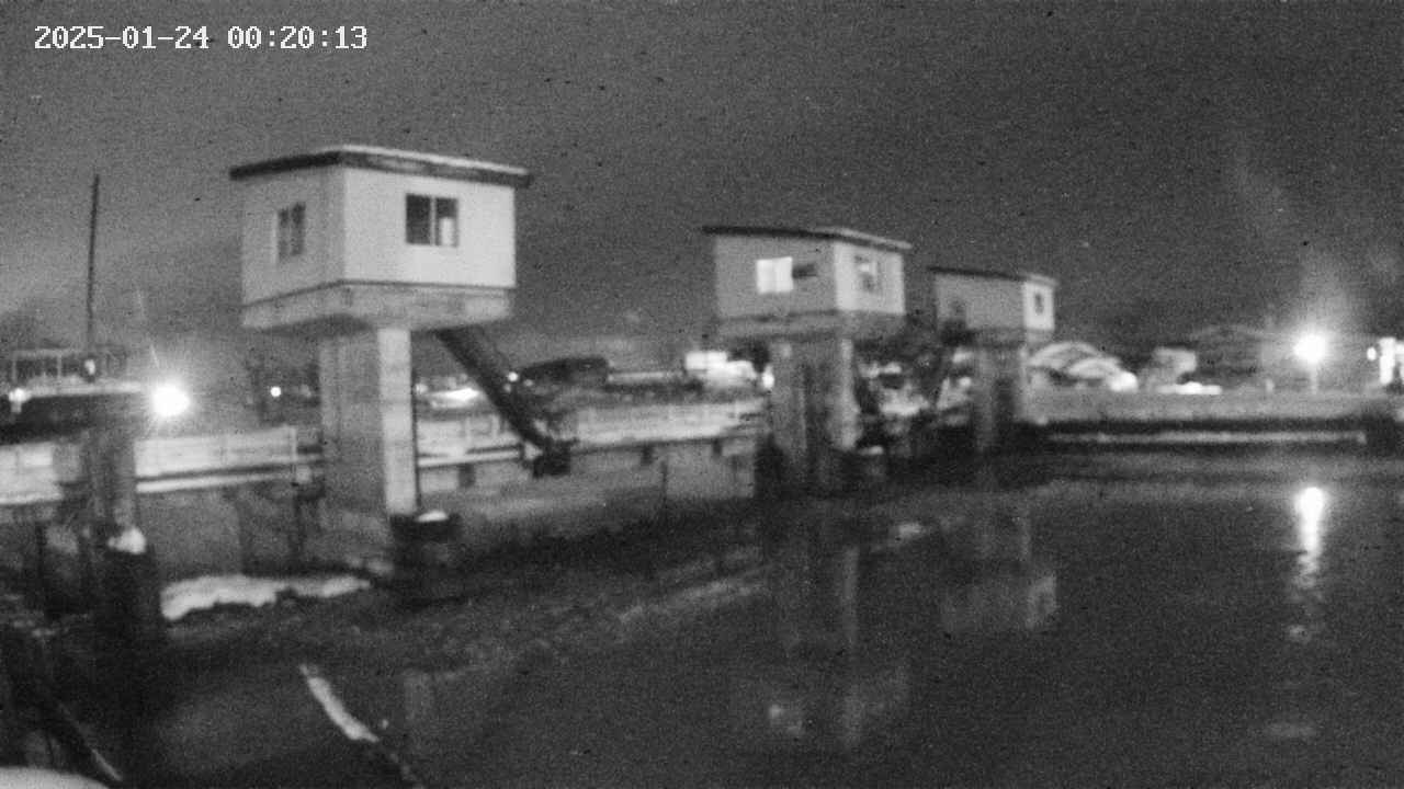area1-20250124002014.jpg