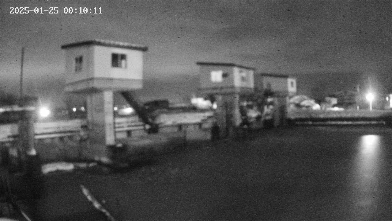 area1-20250125001012.jpg