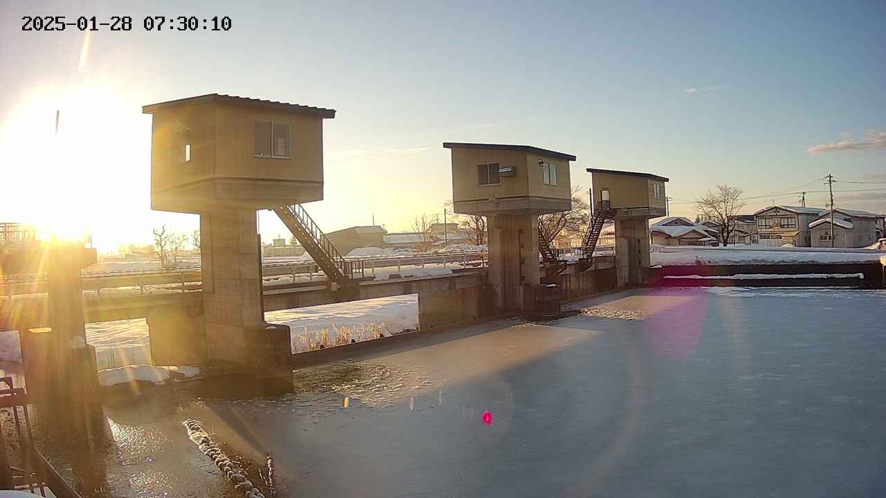 area1-20250128073012.jpg