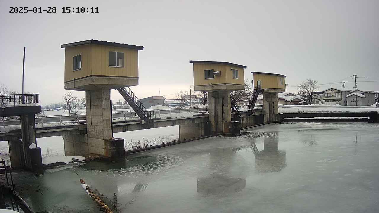 area1-20250128151013.jpg