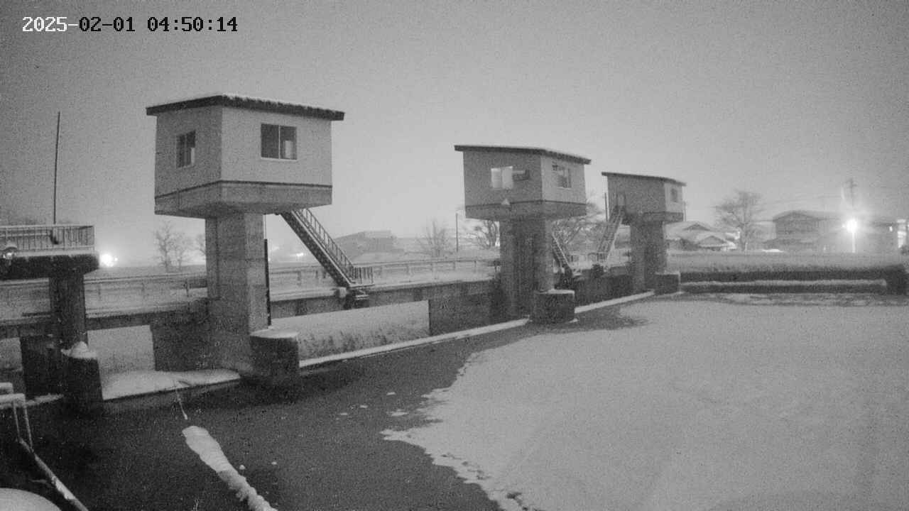 area1-20250201045014.jpg