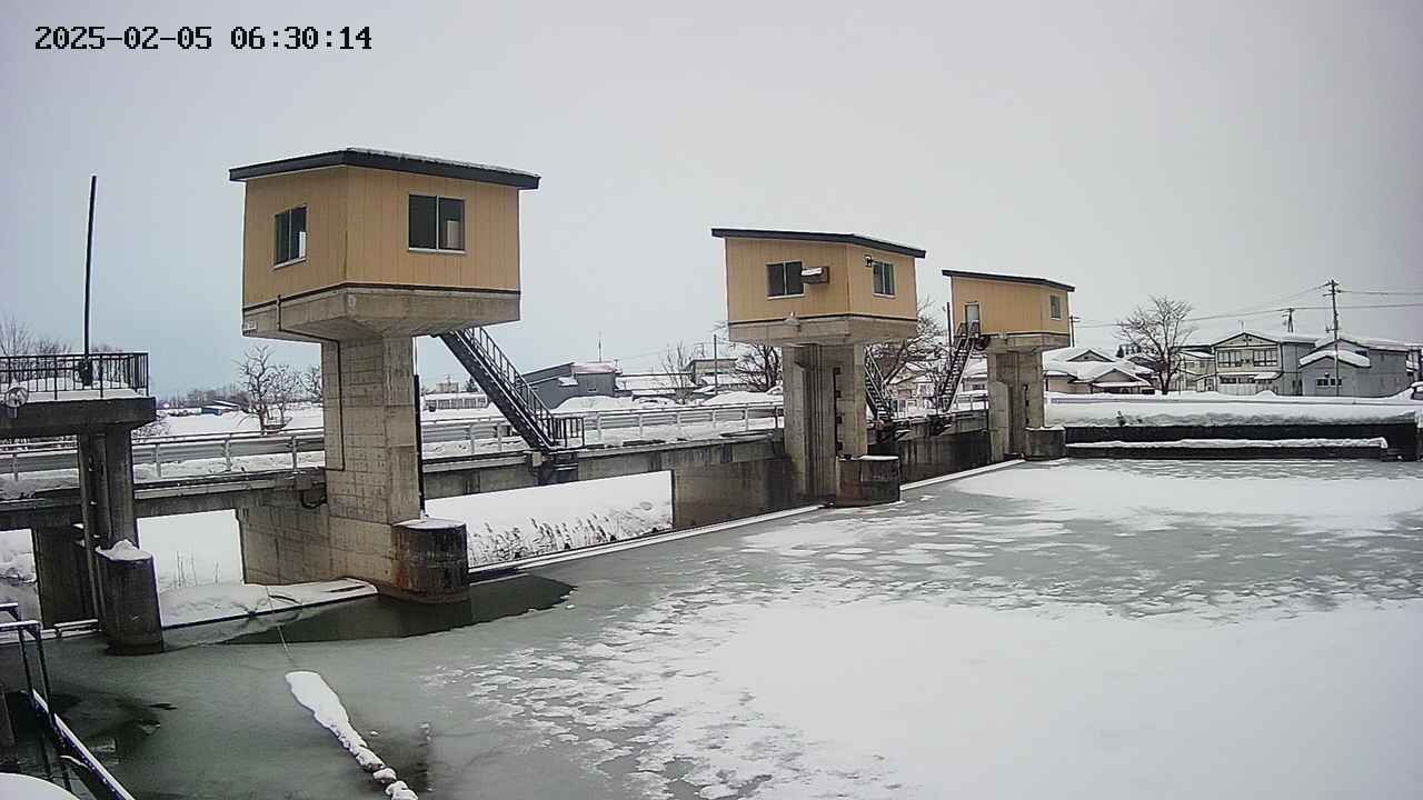 area1-20250205063015.jpg