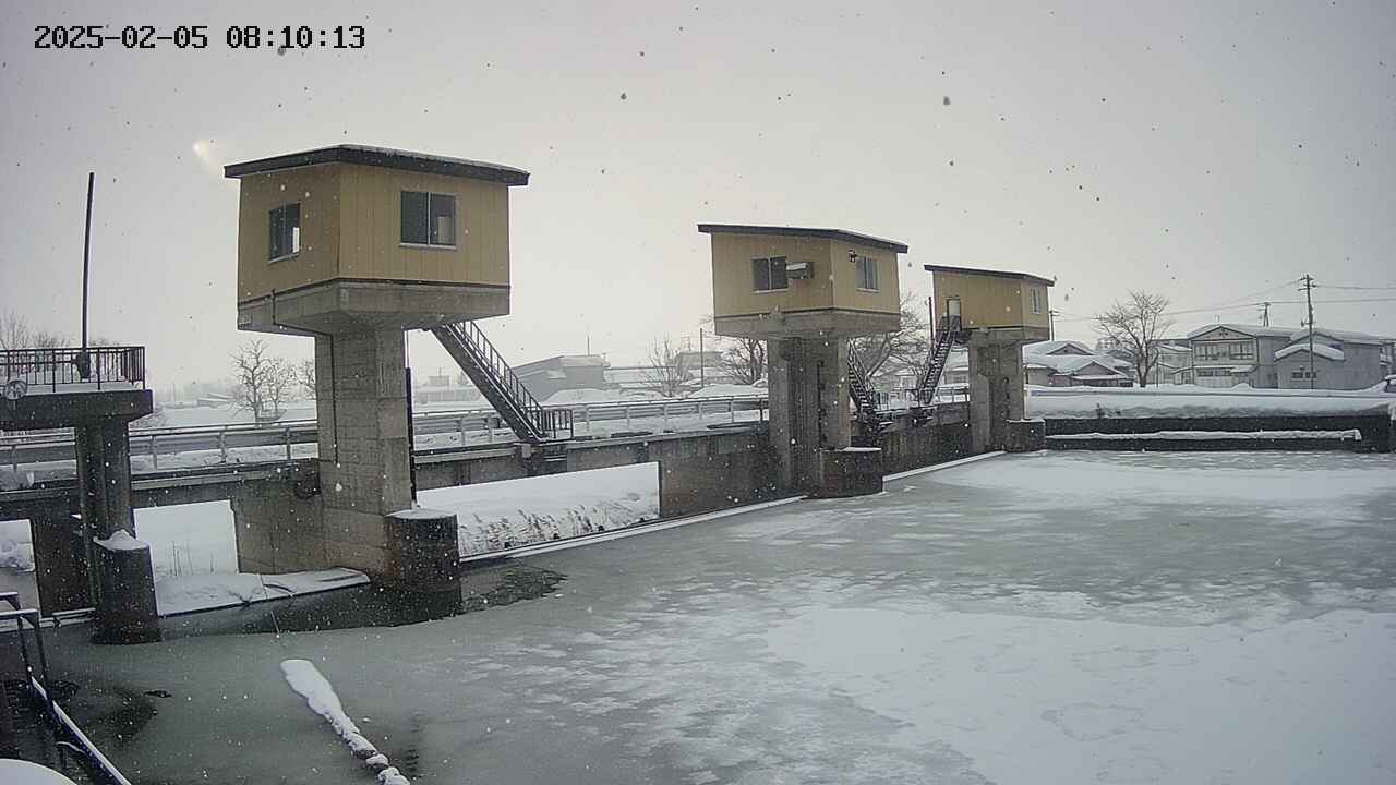 area1-20250205081014.jpg