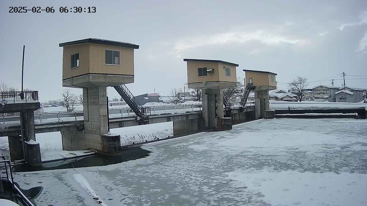 area1-20250206063014.jpg