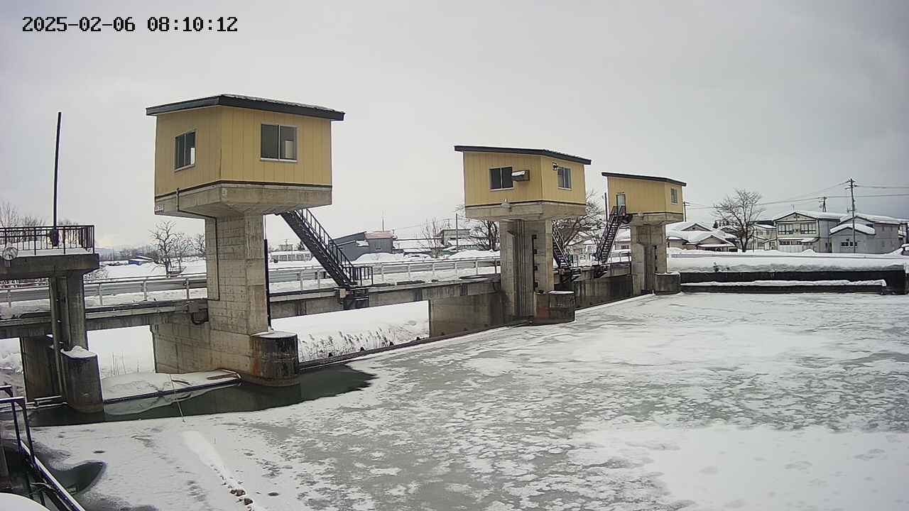 area1-20250206081013.jpg