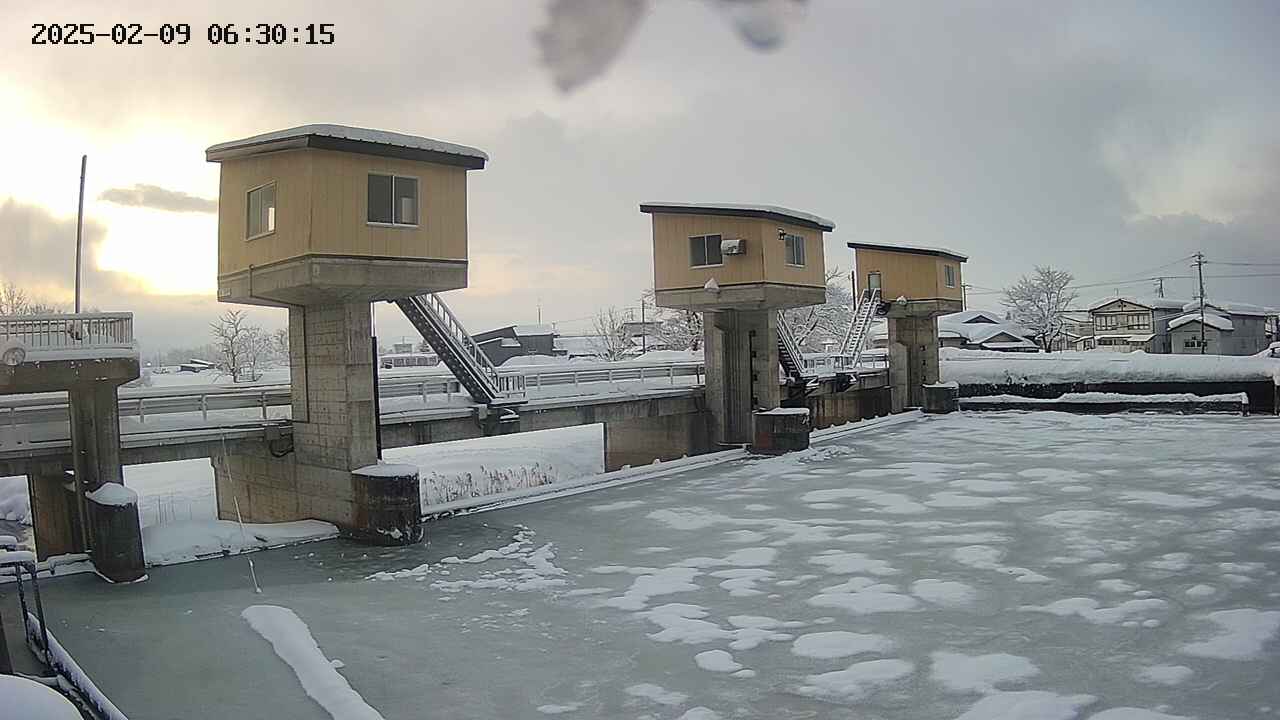 area1-20250209063016.jpg