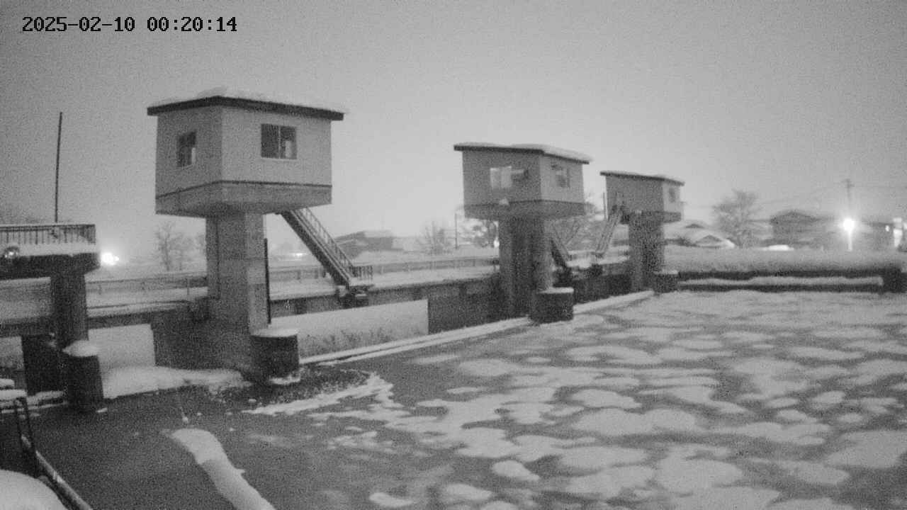 area1-20250210002014.jpg