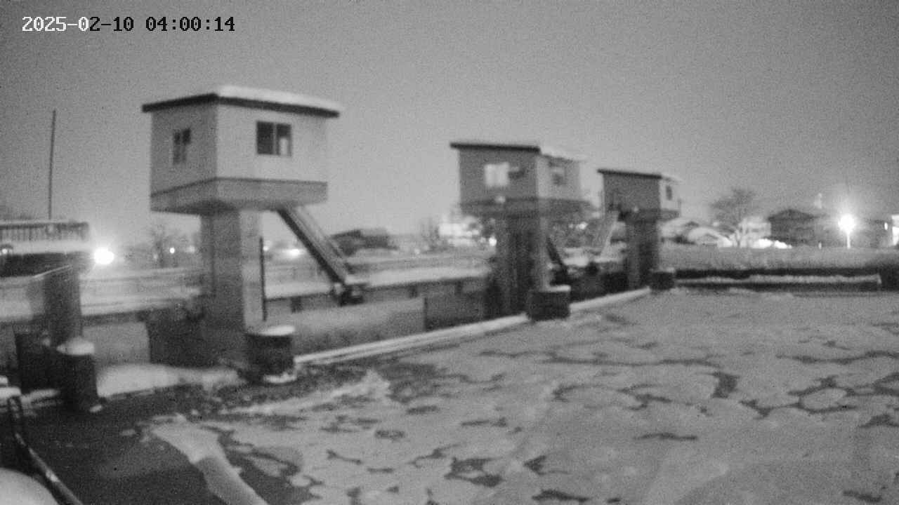 area1-20250210040015.jpg