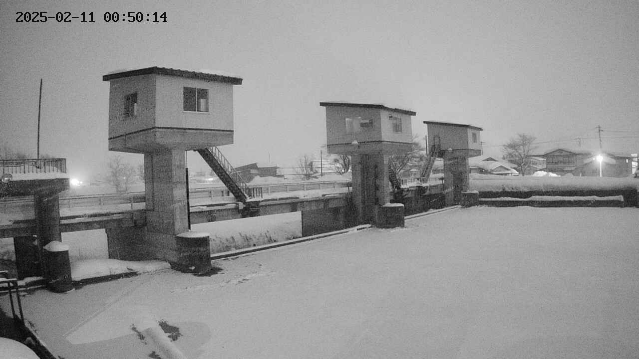 area1-20250211005015.jpg