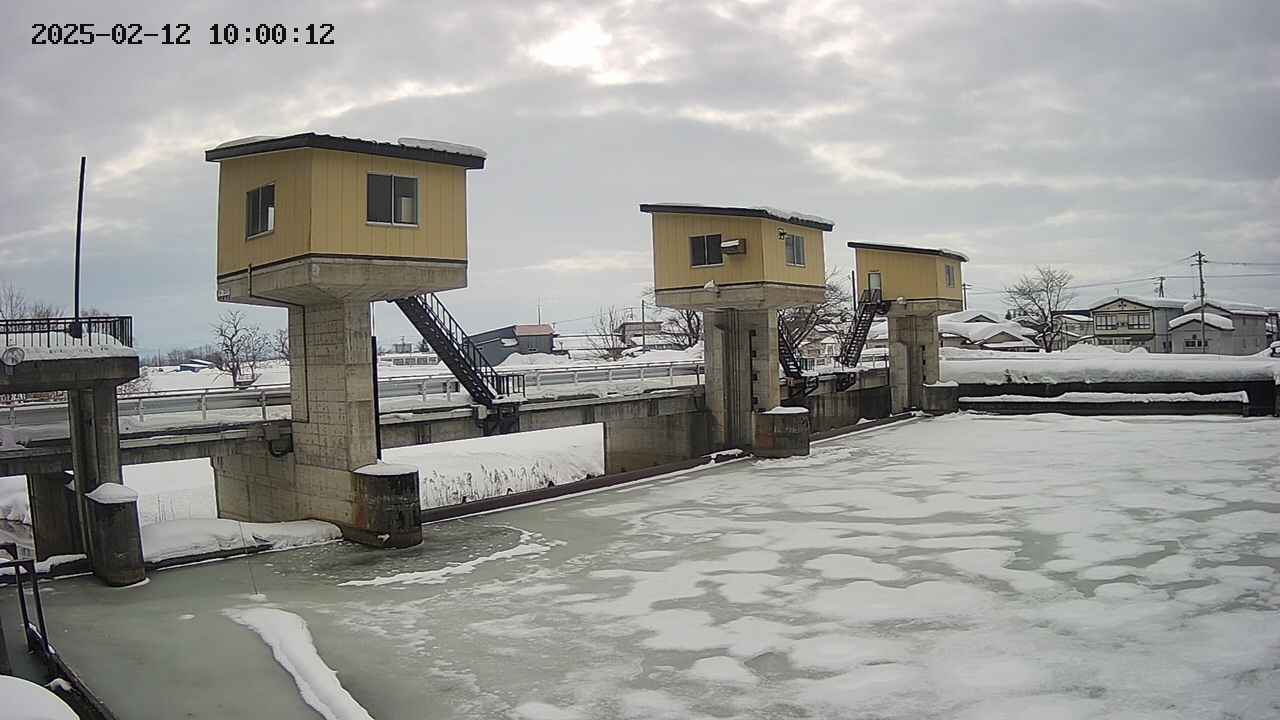 area1-20250212100013.jpg