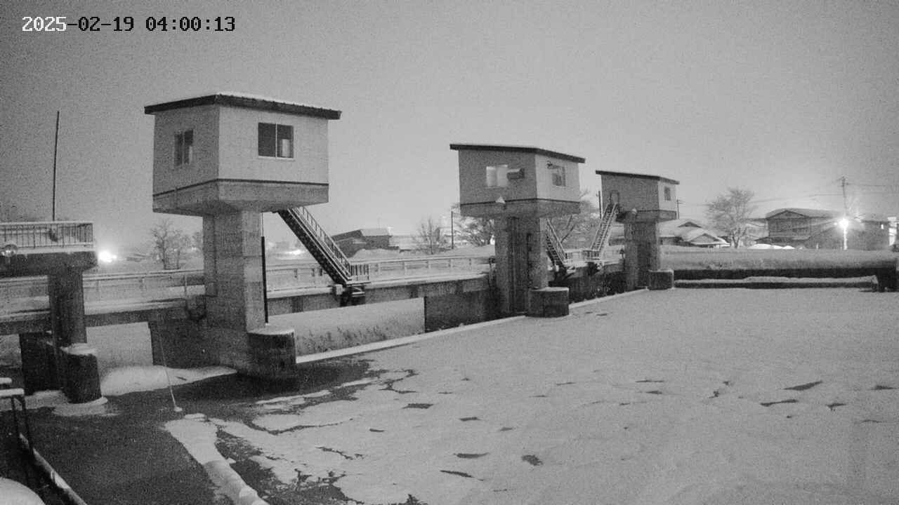 area1-20250219040013.jpg