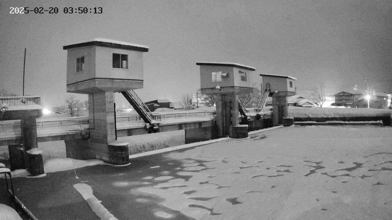 area1-20250220035014.jpg