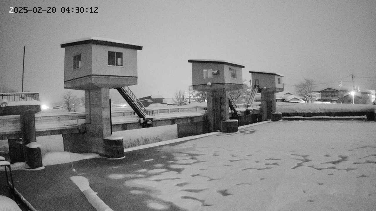 area1-20250220043013.jpg