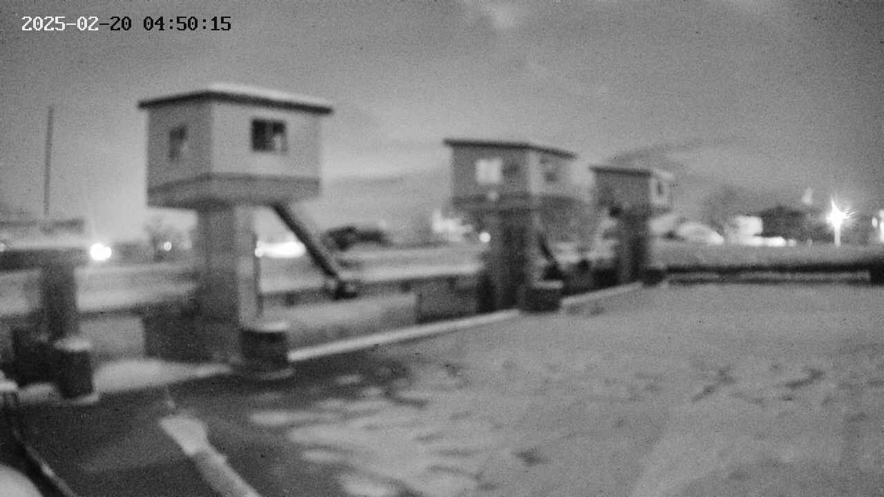 area1-20250220045016.jpg