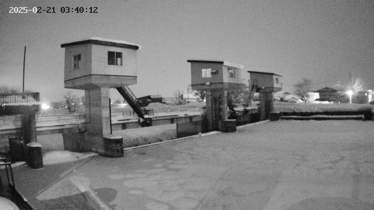 area1-20250221034013.jpg