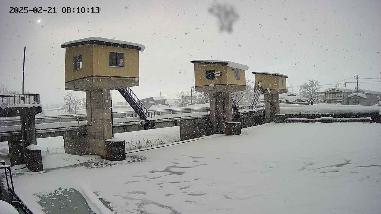 area1-20250221081014.jpg