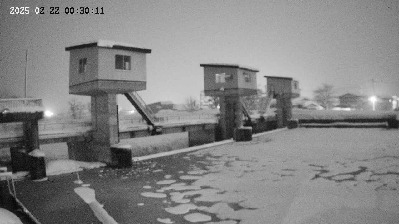 area1-20250222003012.jpg