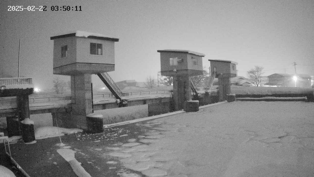 area1-20250222035012.jpg