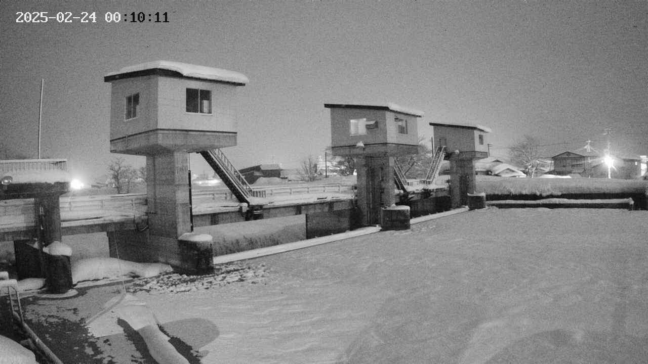 area1-20250224001012.jpg