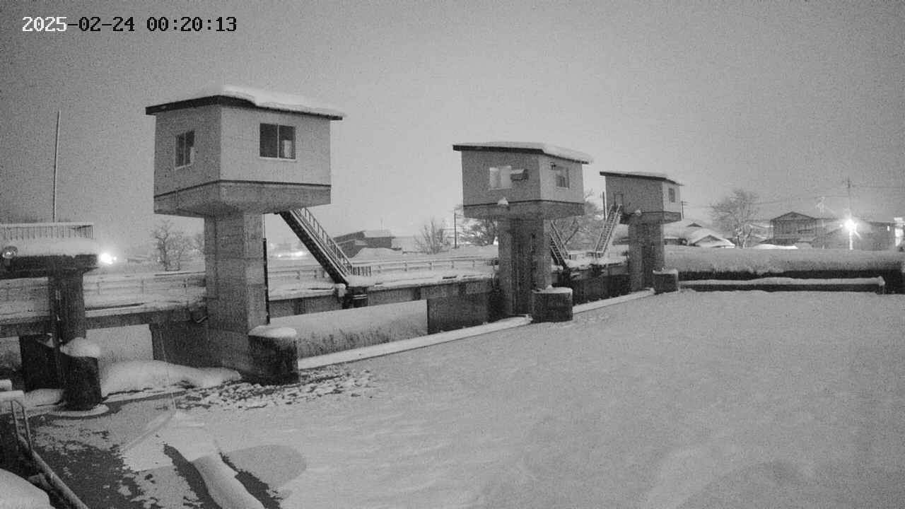 area1-20250224002014.jpg