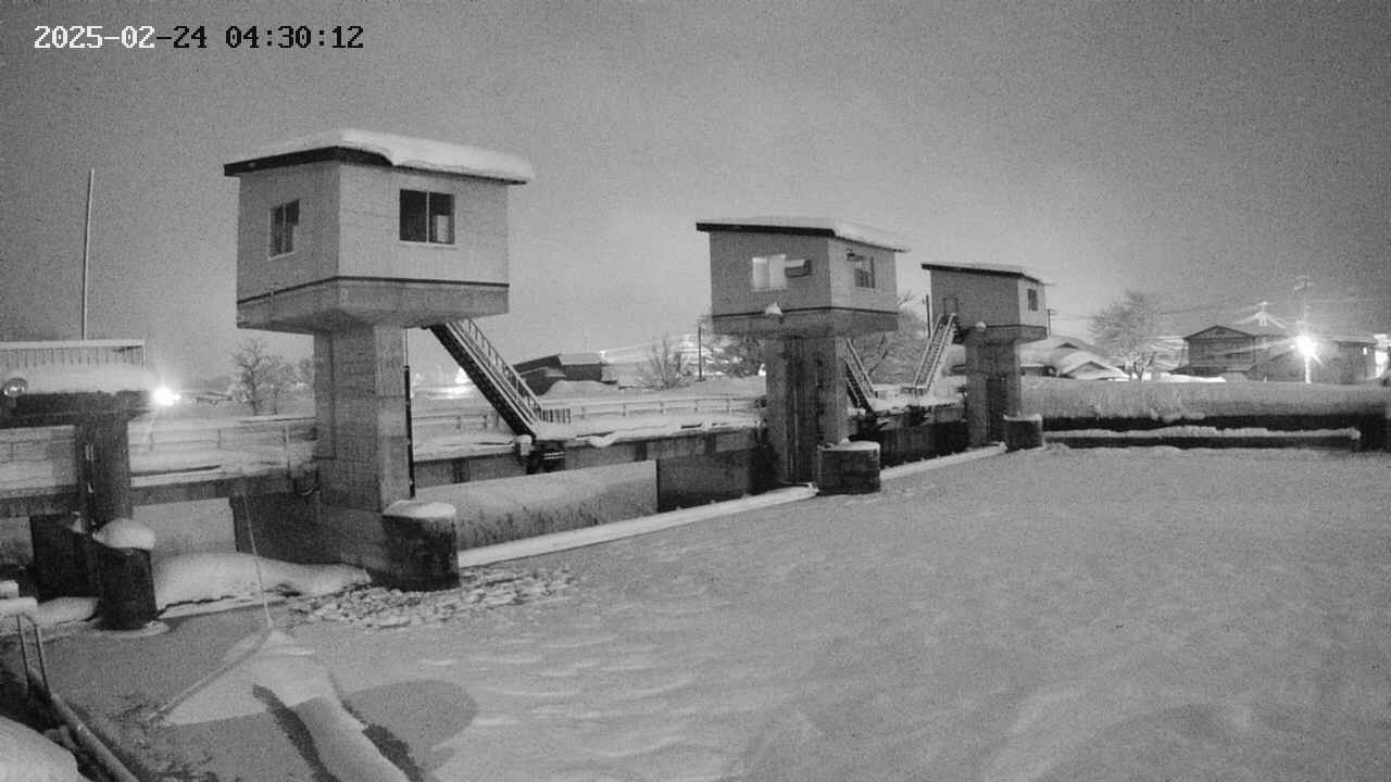 area1-20250224043013.jpg
