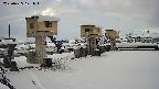 area1-20250225071014.jpg