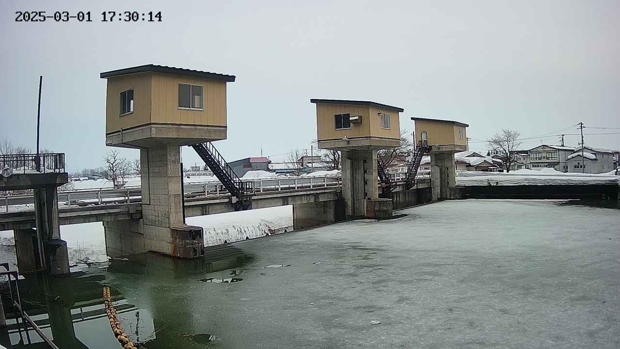 area1-20250301173016.jpg