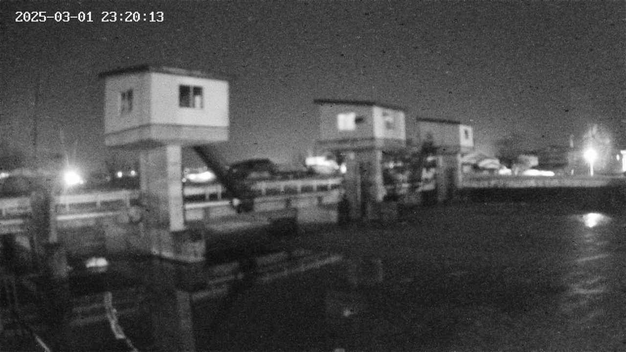 area1-20250301232014.jpg