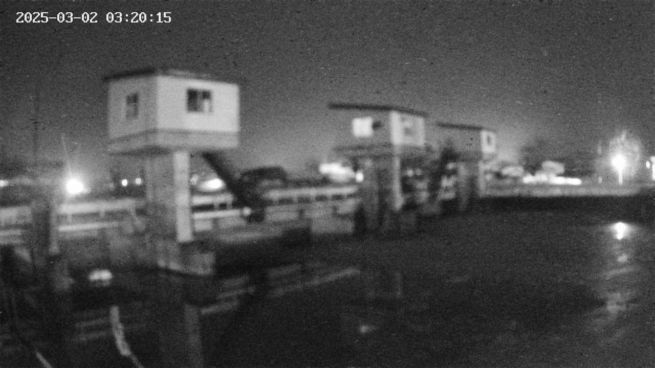 area1-20250302032016.jpg