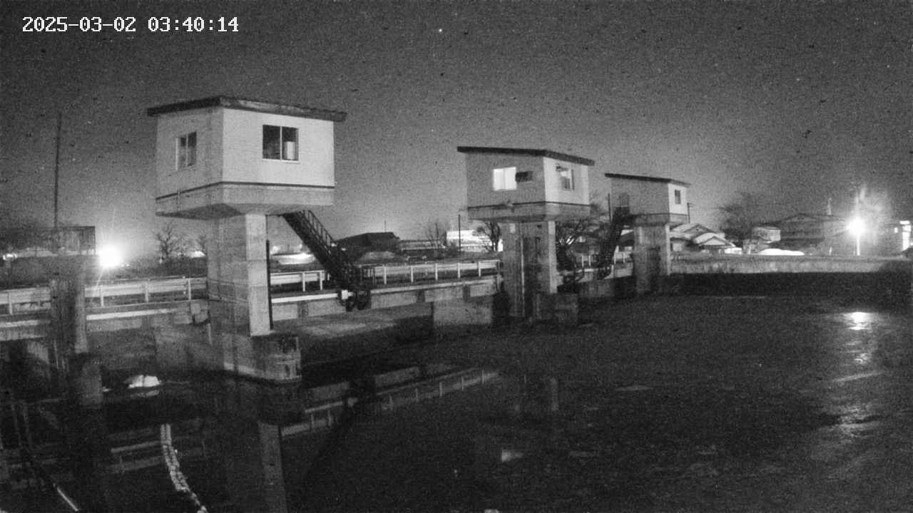 area1-20250302034016.jpg
