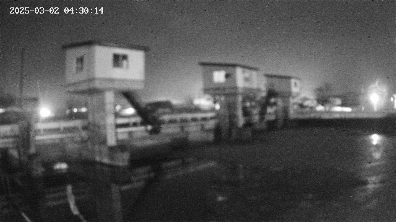 area1-20250302043015.jpg