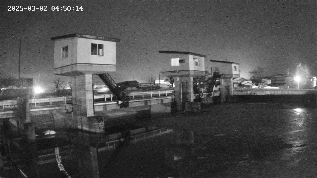 area1-20250302045016.jpg