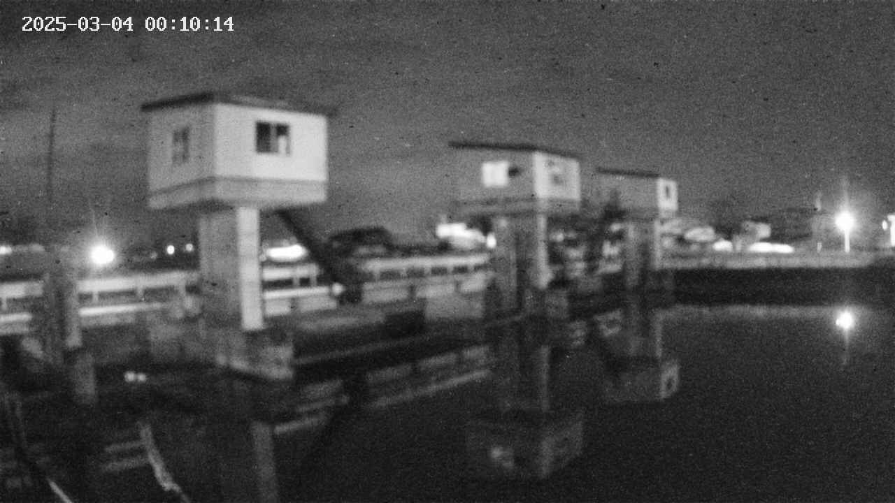 area1-20250304001015.jpg