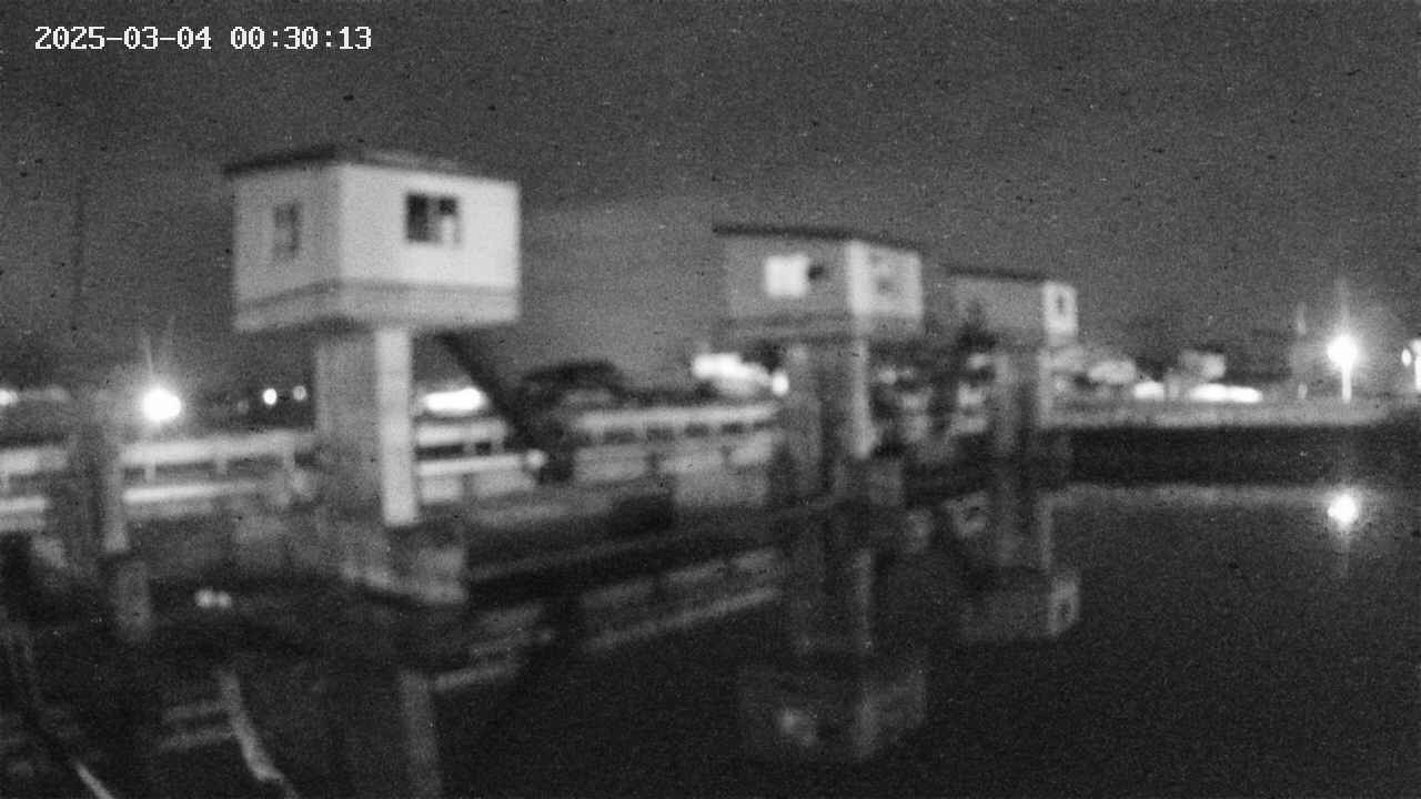 area1-20250304003014.jpg