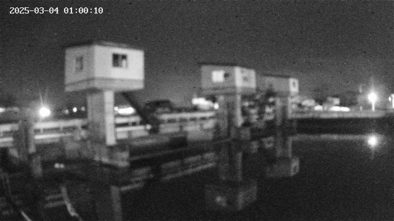 area1-20250304010012.jpg