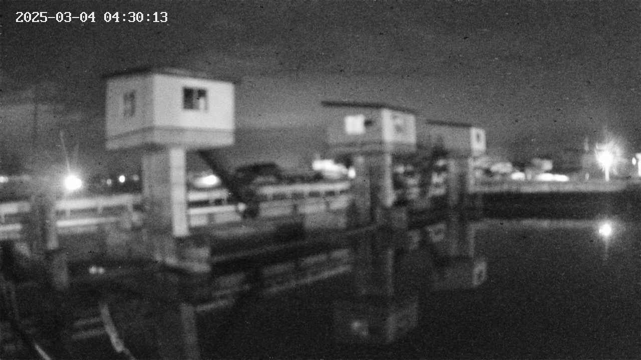 area1-20250304043014.jpg