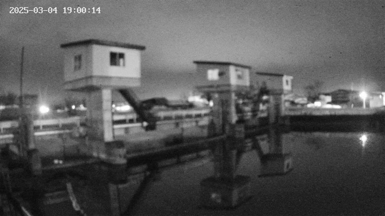 area1-20250304190015.jpg