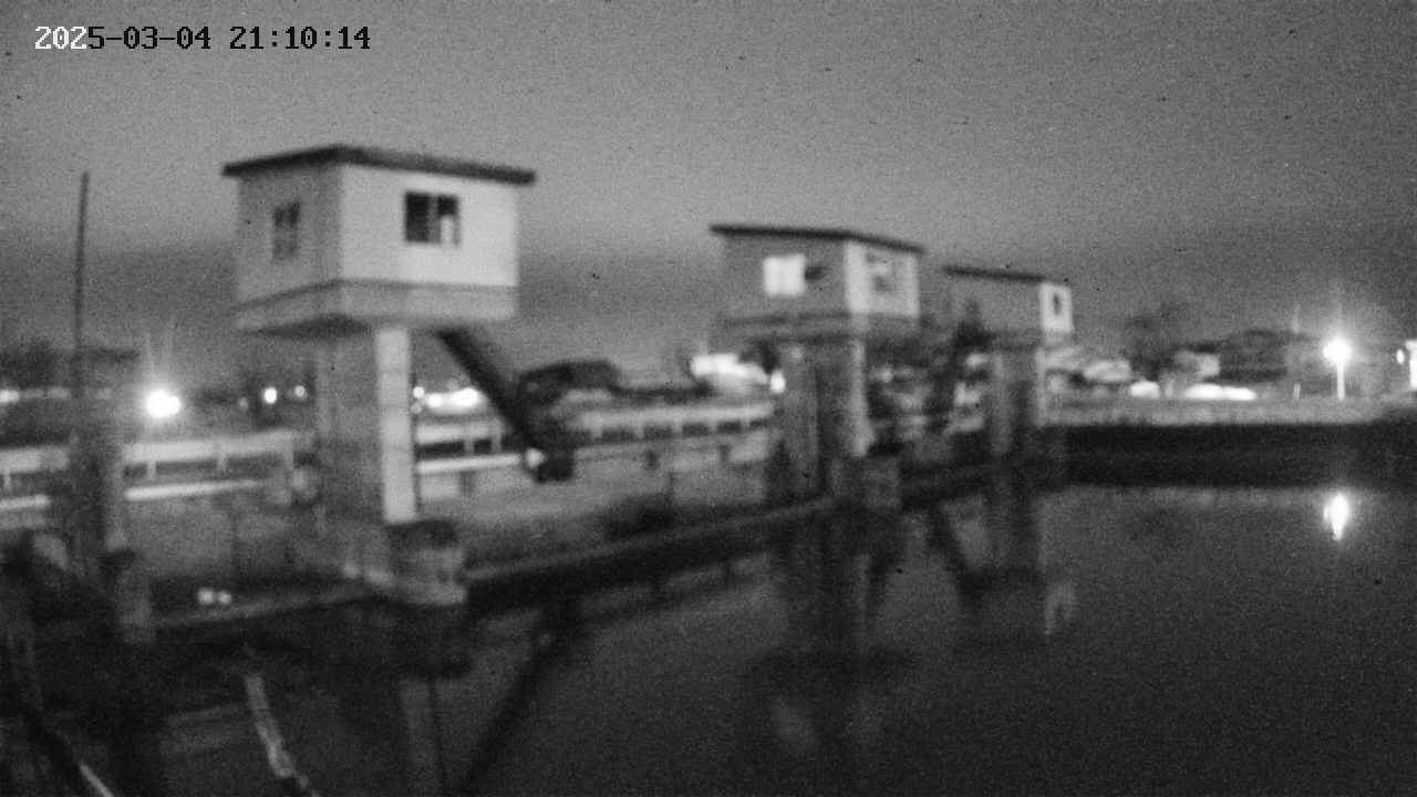 area1-20250304211015.jpg