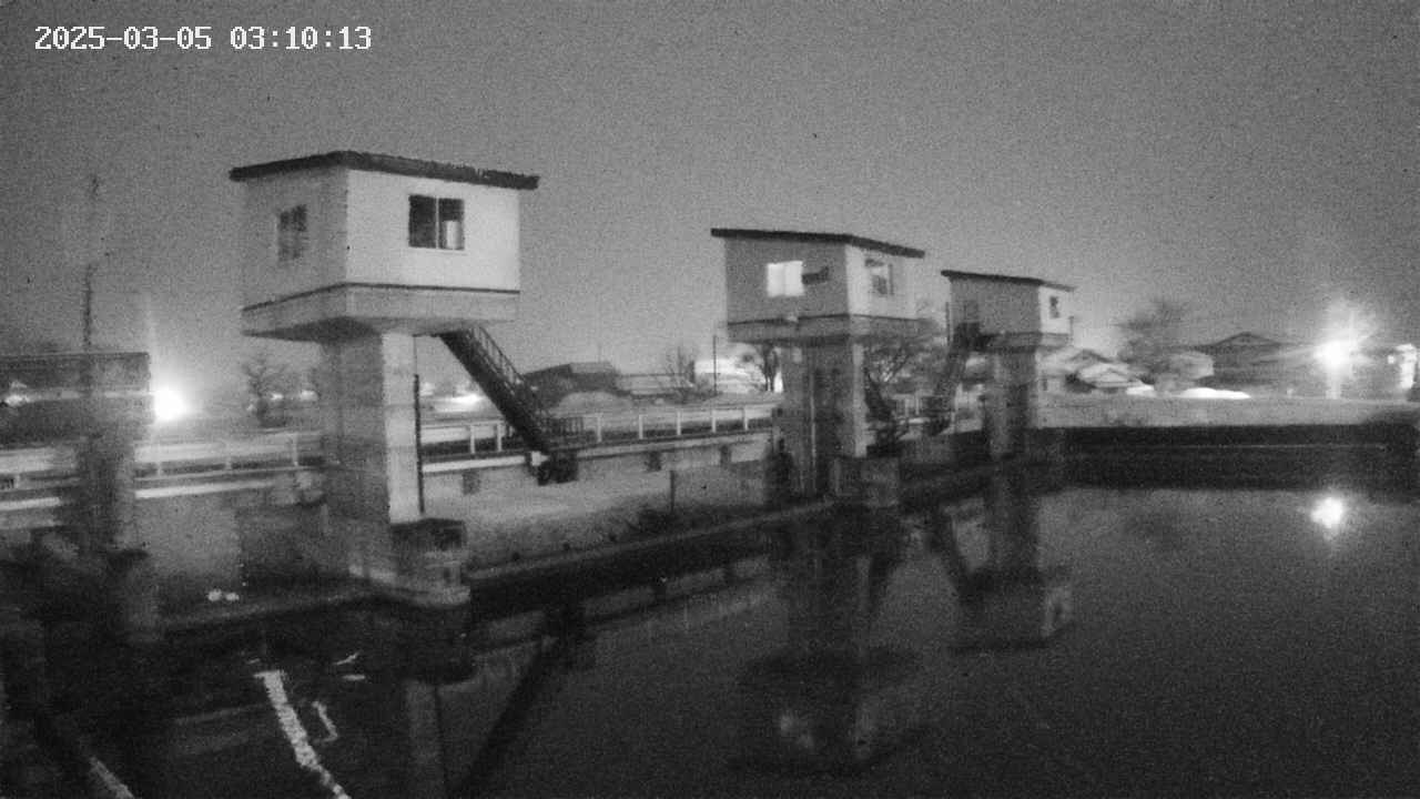 area1-20250305031014.jpg