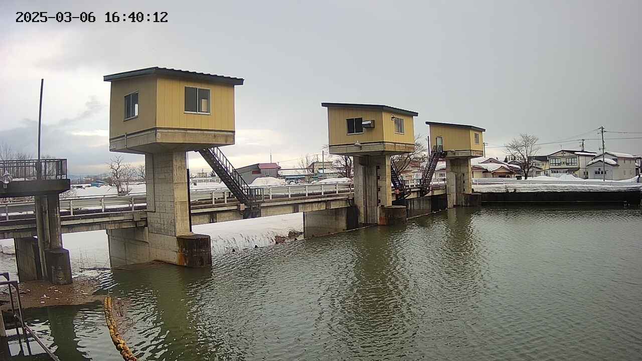 area1-20250306164013.jpg