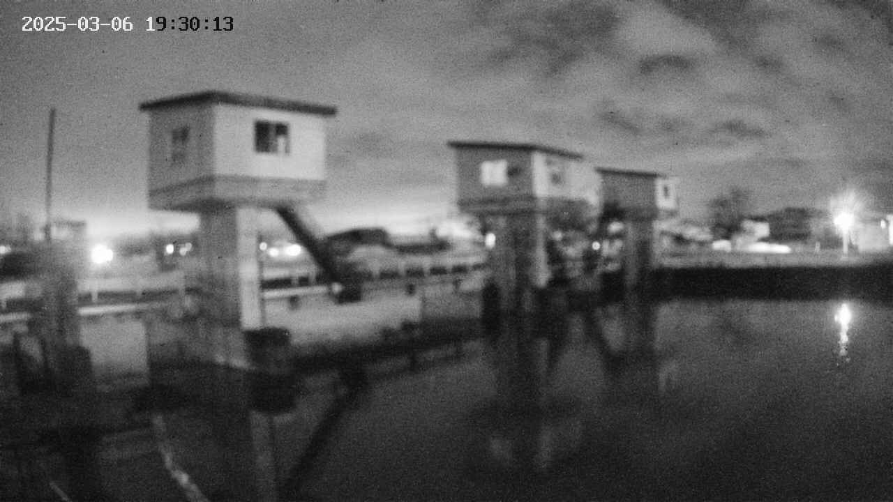 area1-20250306193013.jpg