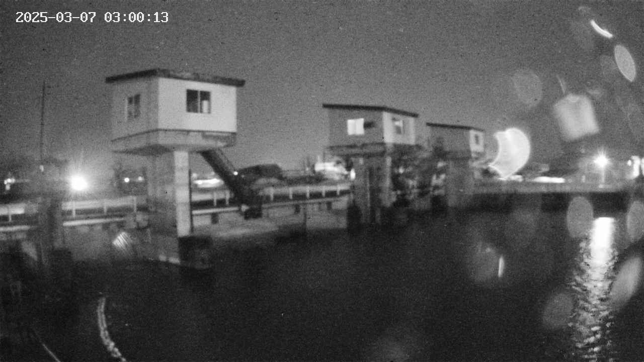area1-20250307030014.jpg