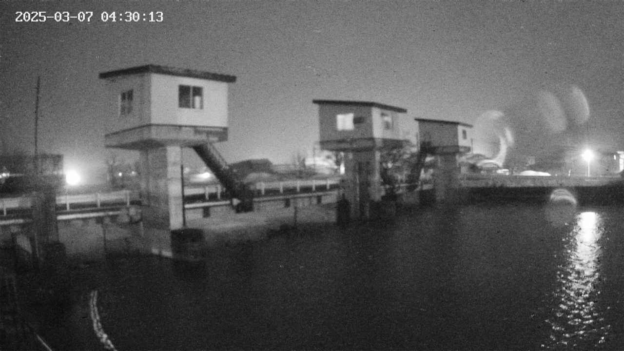 area1-20250307043014.jpg