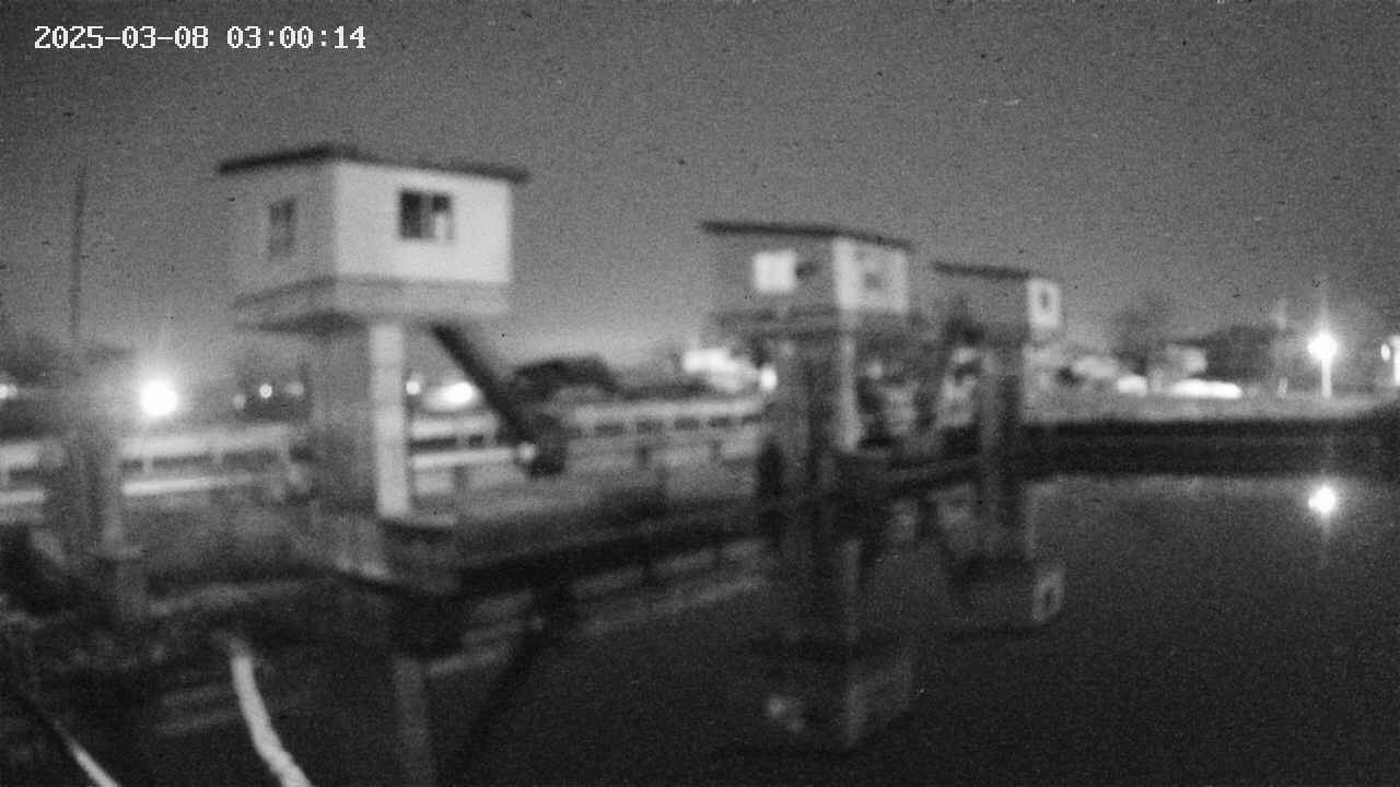 area1-20250308030015.jpg