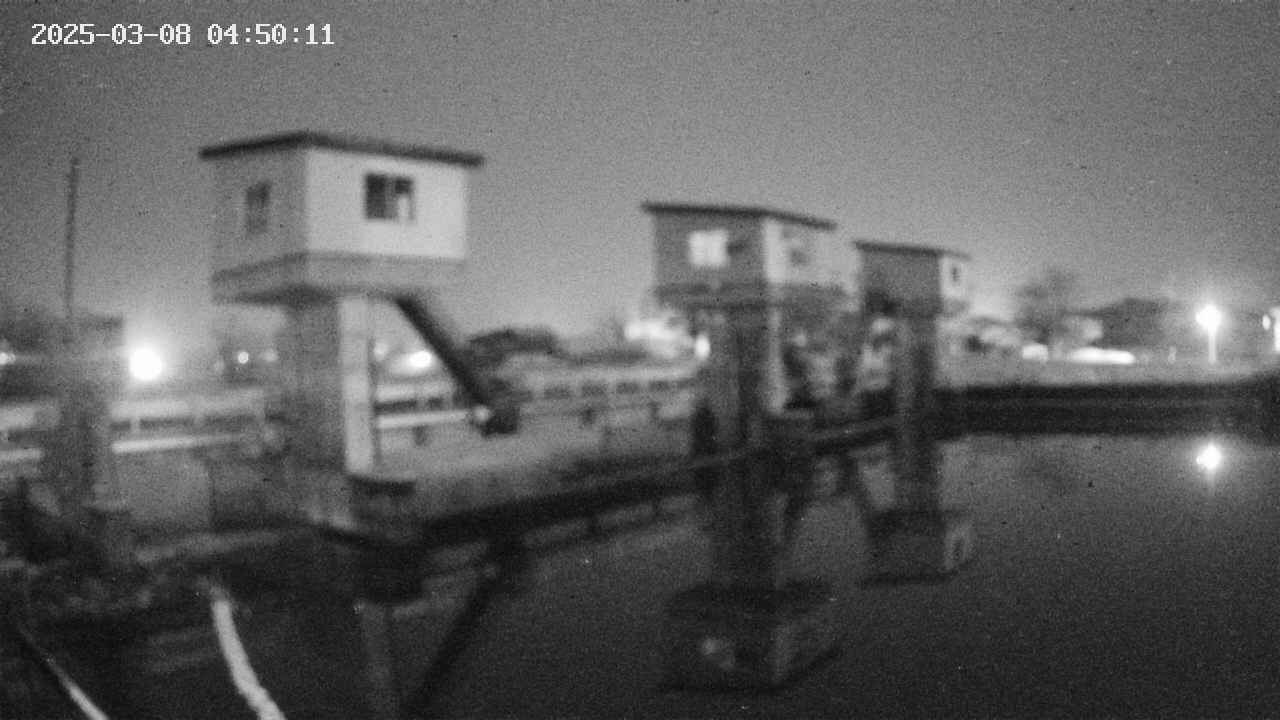 area1-20250308045012.jpg